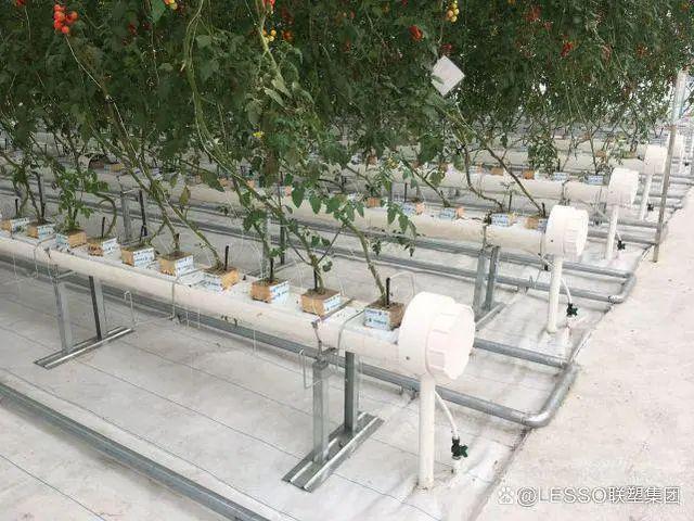 中国联塑深耕农业管道领域 助力乡村振兴