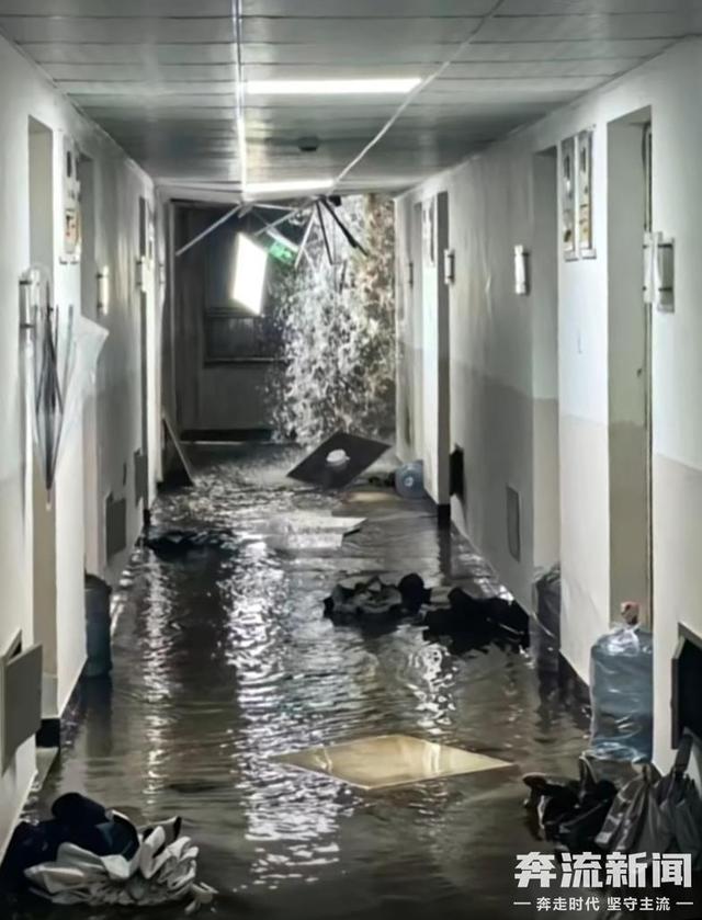 温州医科大学宿舍被污水淹了？回应：系消防管道破裂已修好