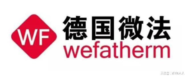2025年德国进口管道谁是十大巨头？你绝对想知道！(图3)
