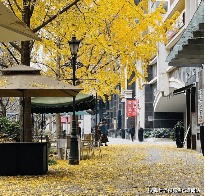 2025金色贝拉维(金色贝拉维售楼处)官方网站-百度百科-上海房天下(图4)