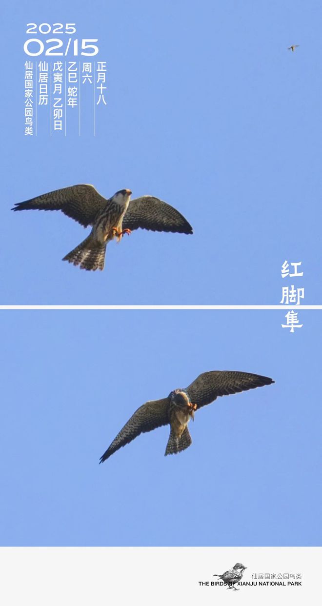 订单满生产忙！仙居企业奋战“开门红”(图4)