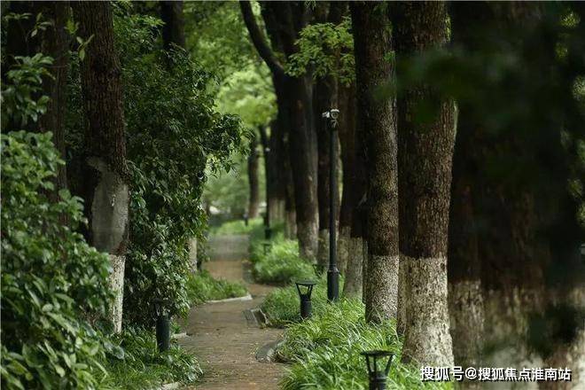 @中鹰黑森林 普陀中鹰黑森林官方售楼处发布：一生只搬一次家！(图5)