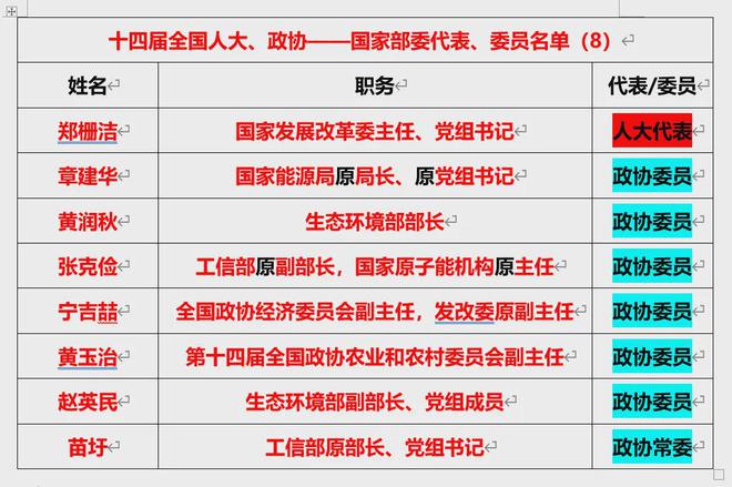 175名能源、电力领域两会代表、委员全名单！(图2)