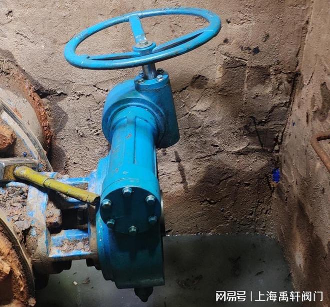上海禹轩助力广州开发区水质检测中心DN400蝶阀检修更换项目(图2)