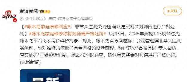品牌观察：处理争议近4万单啄木鸟整改仍未“啄”到核心(图1)