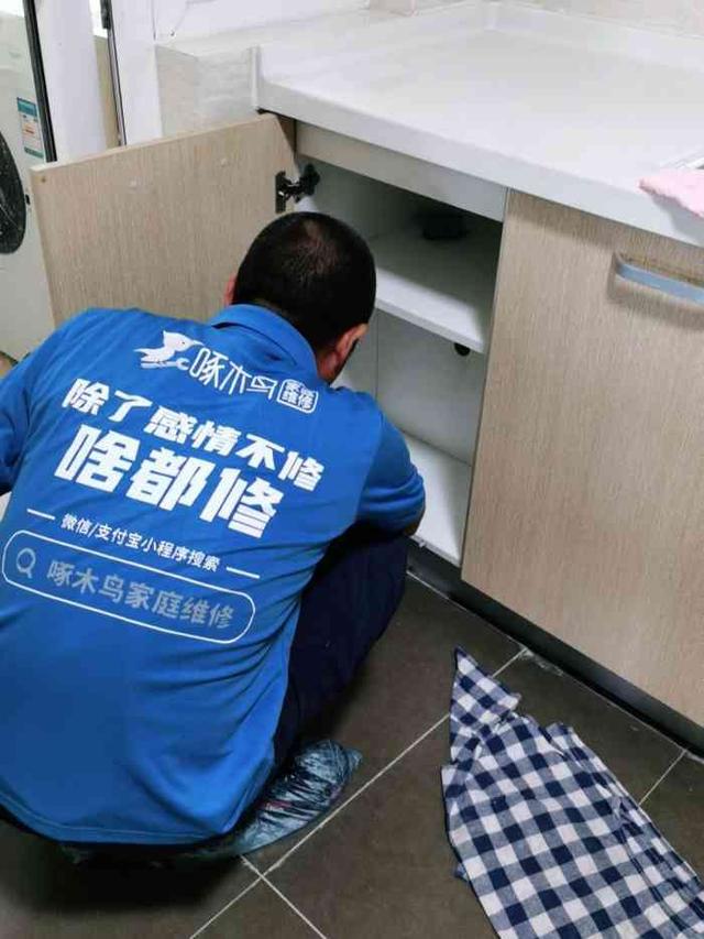 品牌观察：处理争议近4万单啄木鸟整改仍未“啄”到核心(图5)