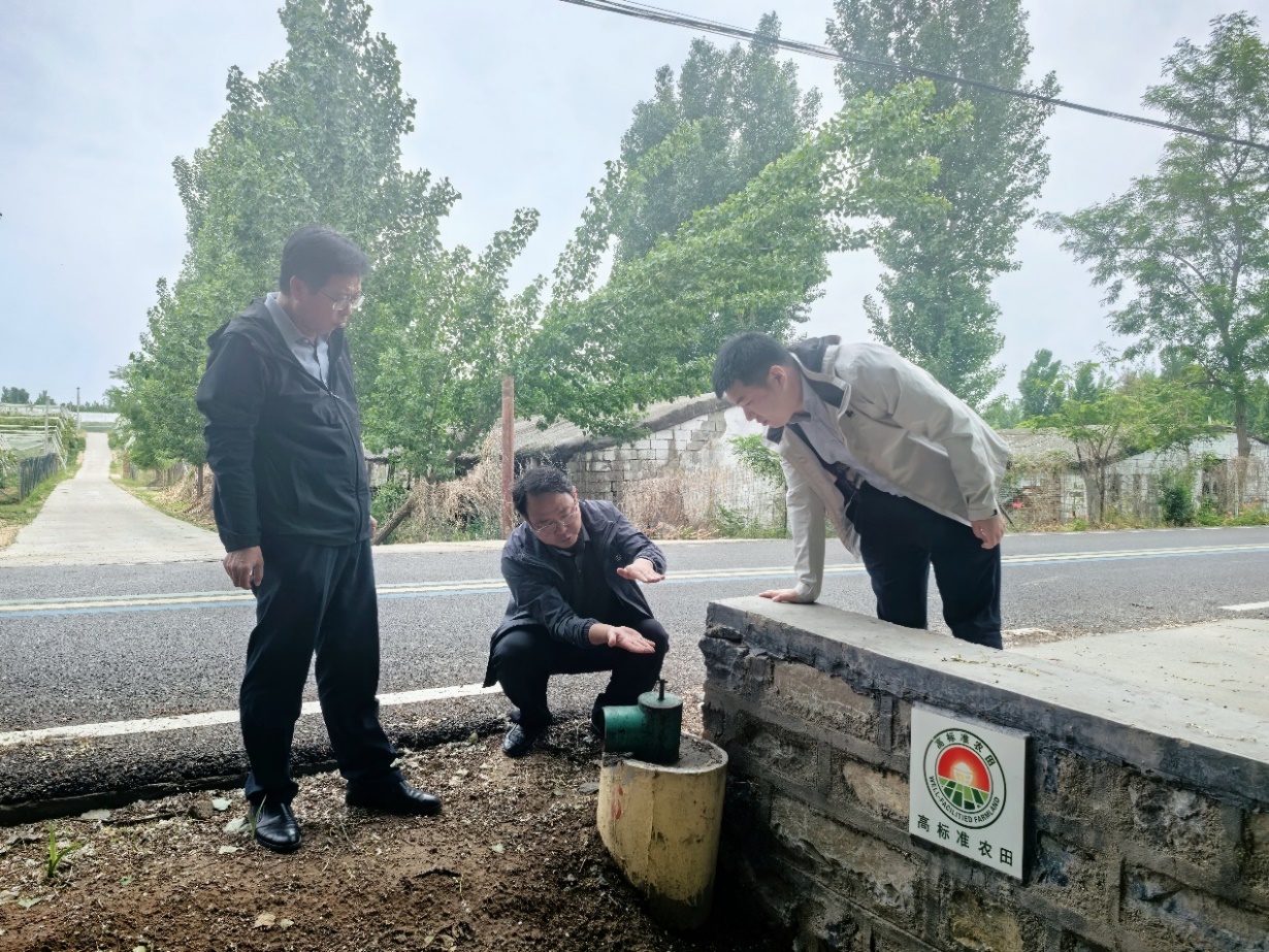 中国人寿财险莱芜市中心支公司推出高标准农田管护保险 夯实粮食安全根基(图1)