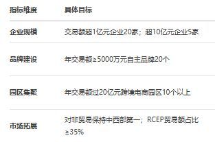 《湖南省跨境电商发展全景分析报告（2025）(图22)